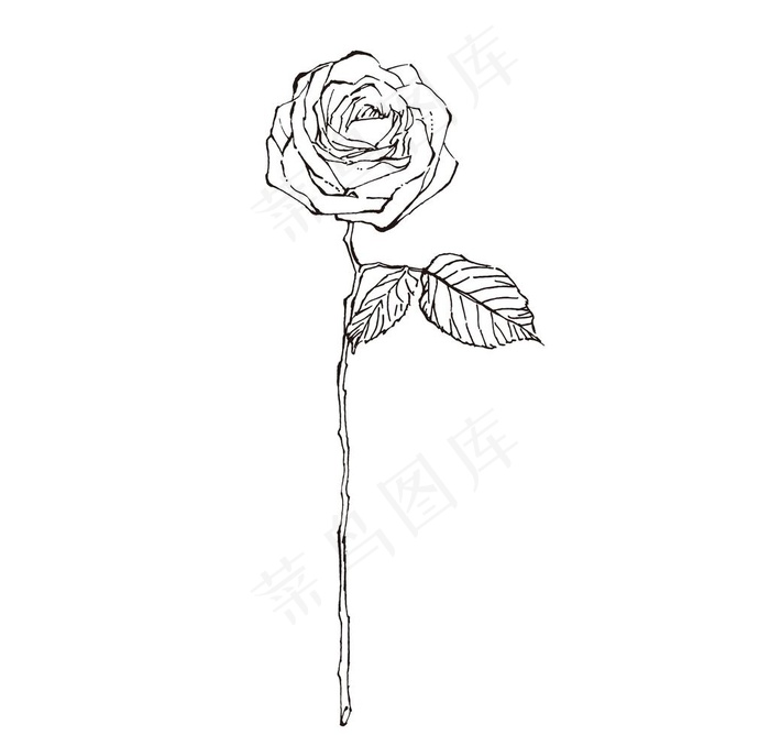 素描鲜花图片eps,ai矢量模版下载