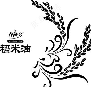 稻米油图片