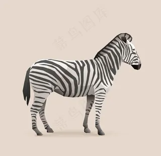 斑马图片