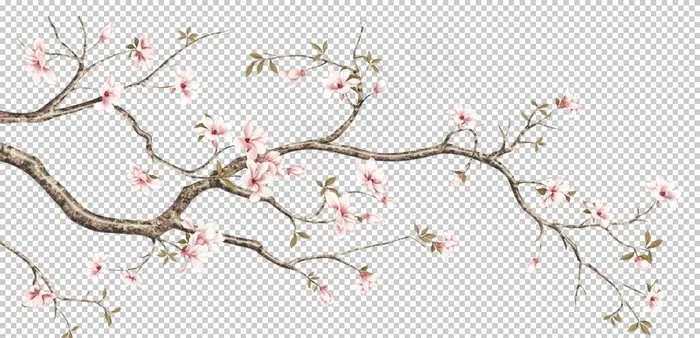 花鸟图片