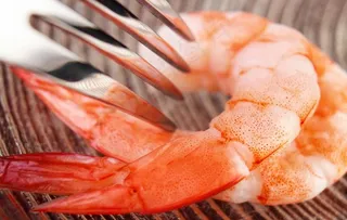 虾图片