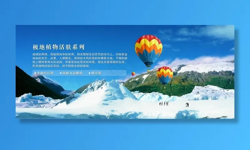 极地植物活肤系列图片(7370X3402(DPI:72))psd模版下载