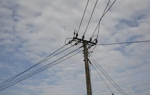 电线杆 老式电线图片