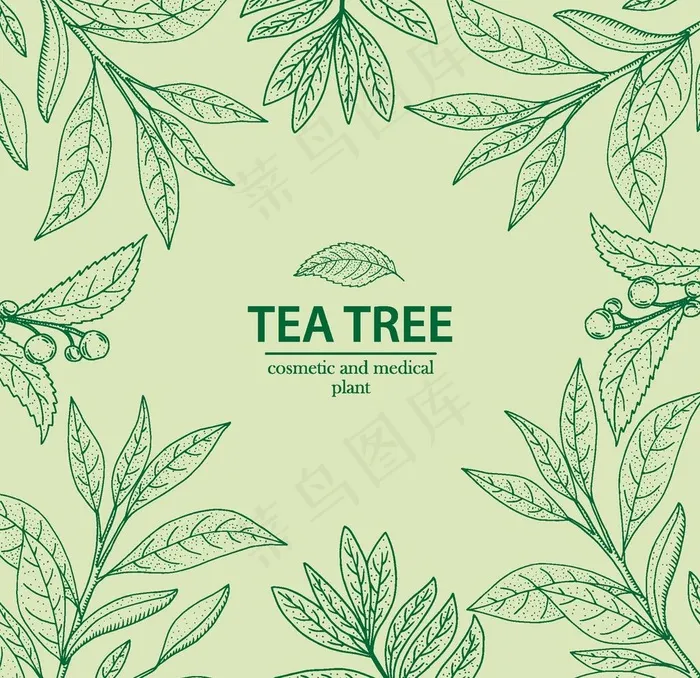 植物线稿图片ai矢量模版下载