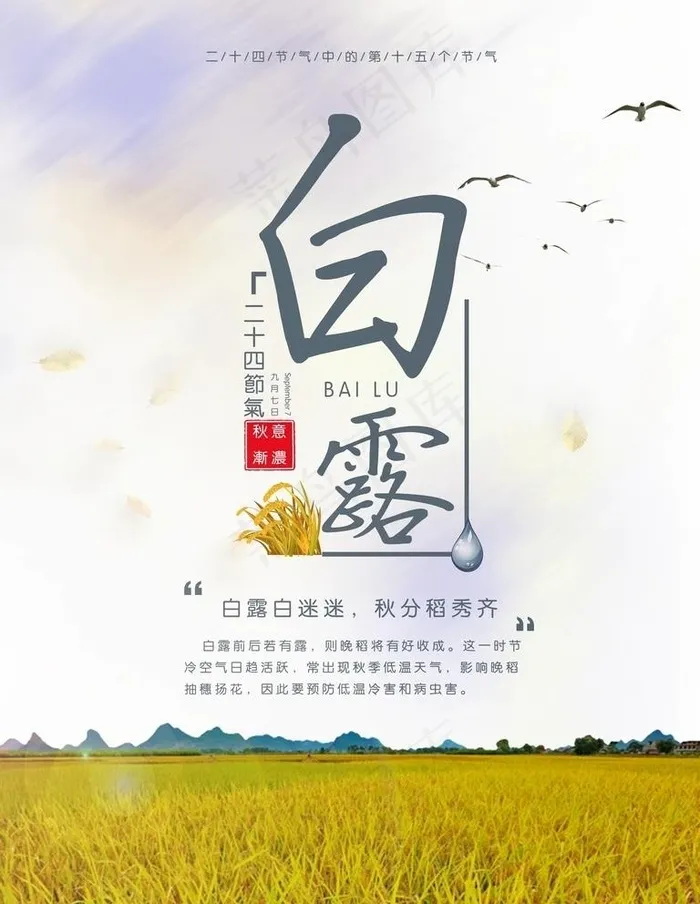 白露图片psd模版下载