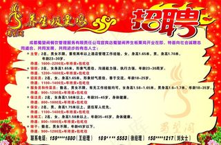 养生板栗鸡 招聘图片