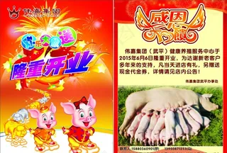 伟嘉集团猪饲料宣传单图片