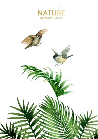 绿色植物装饰画图片