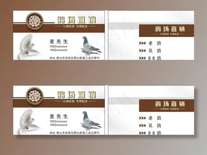 鸽子名片图片