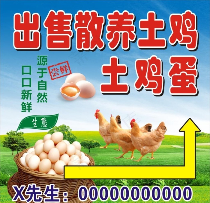 土鸡 鸡蛋素材图片
