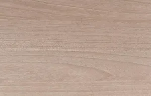背景图图片
