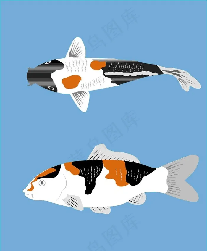 鱼图片cdr矢量模版下载