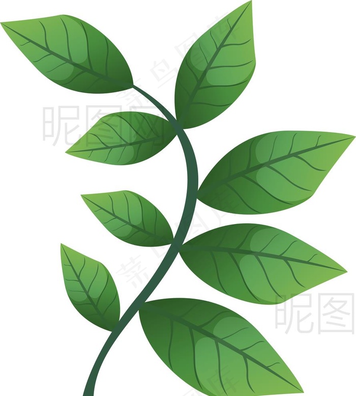 树叶图片ai矢量模版下载