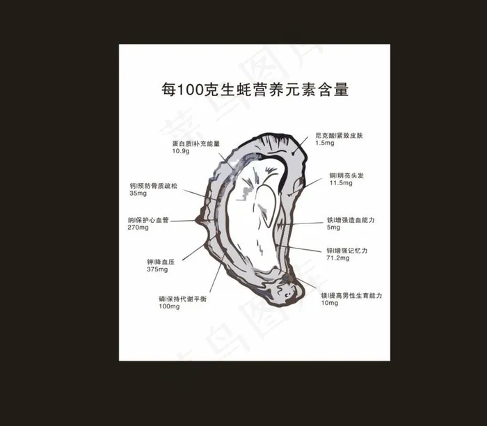 生蚝营养元素含量图片cdr矢量模版下载