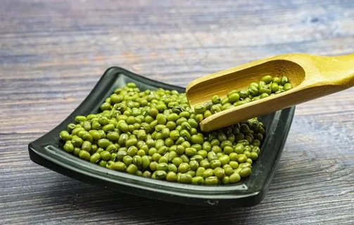 绿豆图片 绿豆图片