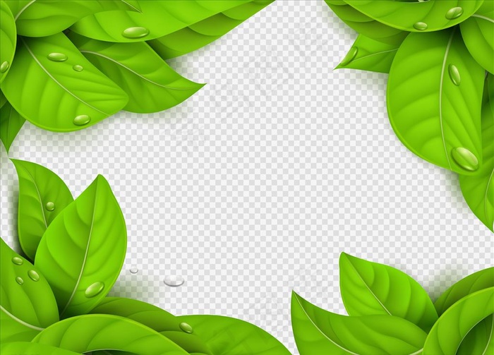 绿叶边框图片
