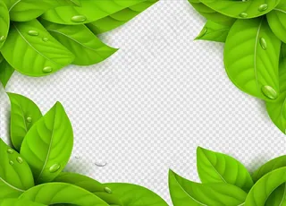 绿叶边框图片
