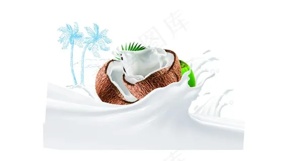 椰子图片