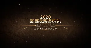 ae模板 视频相册