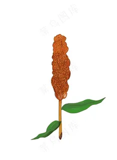 高粱 植物 黄色 红色 插画图片