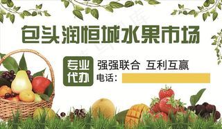 水果名片图片