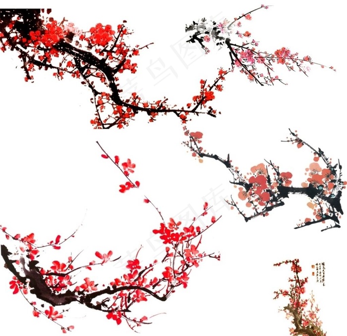 梅花图片cdr矢量模版下载