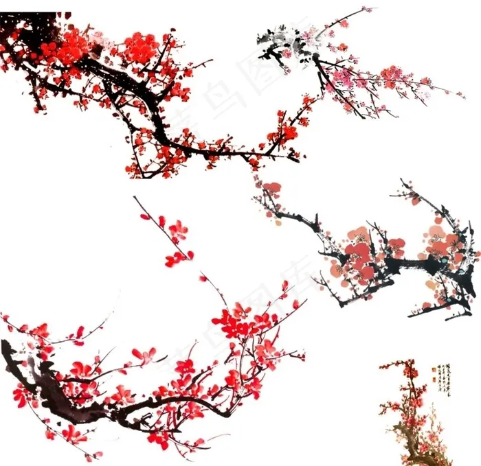 梅花图片cdr矢量模版下载