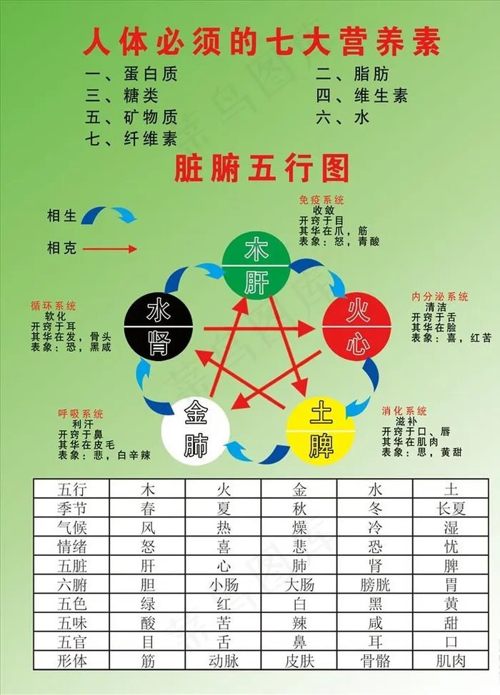 脏腑五行图图片(1701X2268(DPI:72))psd模版下载