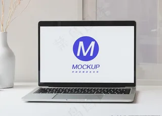 电脑笔记本屏幕展示样机图片