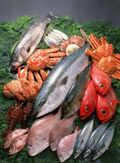 海鲜 海鱼 鱼类 海鲜食材图片