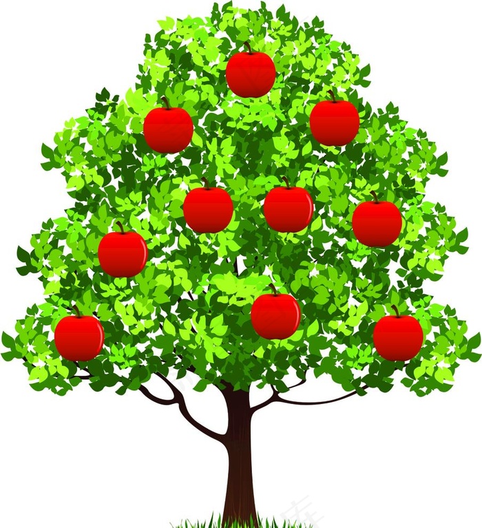 苹果树图片