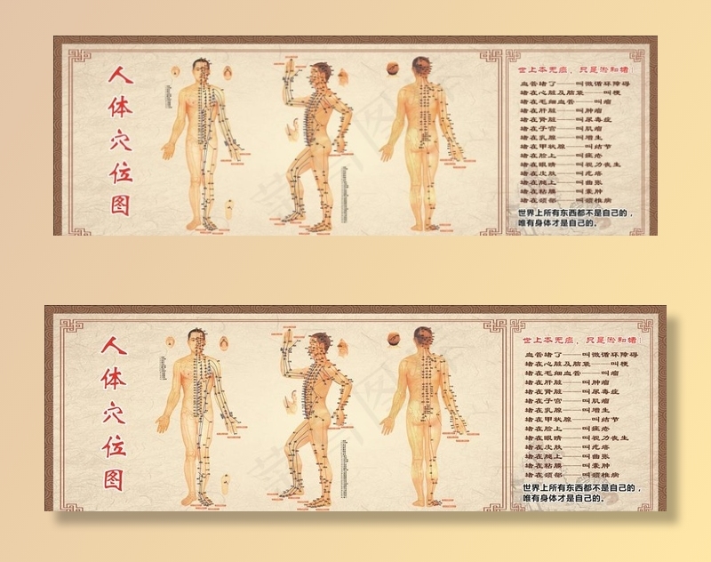 人体穴位图图片(2430X880)cdr矢量模版下载