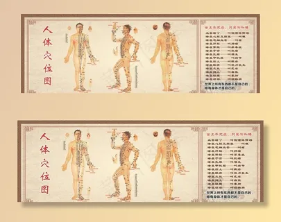 人体穴位图图片 人体穴位图图片