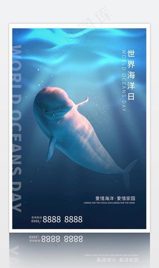 蓝色简约风格世界海洋日白鲸海报图片