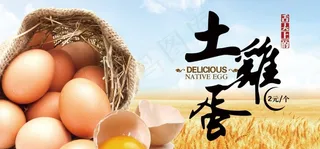 土鸡蛋图片