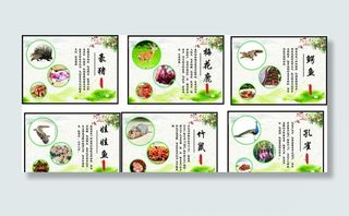 豪猪梅花鹿娃娃鱼竹鼠等野味介绍图片