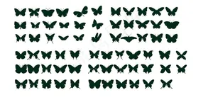 矢量蝴蝶简笔画图片