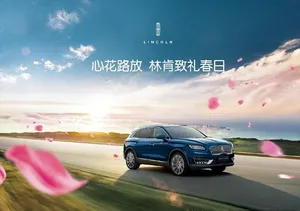 林肯新欢怒放图片