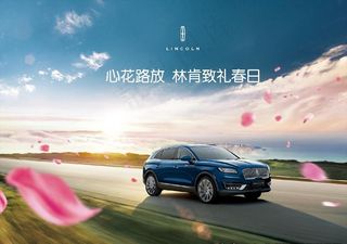 林肯新欢怒放图片