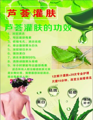 芦荟灌肤图片