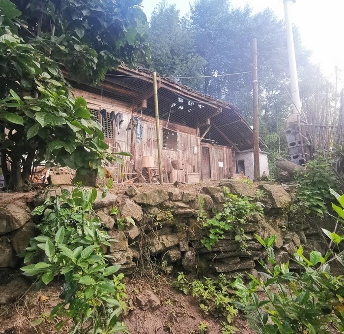农村房屋图片