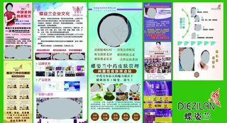 美容宣传单 美容养生 美容SP图片