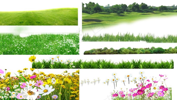 草地后期绿化图图片