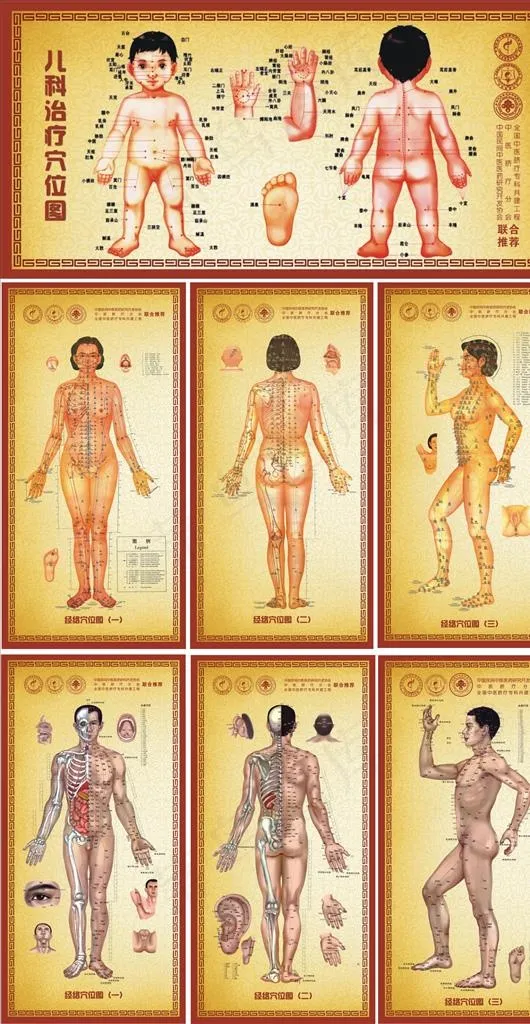男女儿科全息高清经络矢量挂图图片cdr矢量模版下载