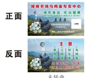 鸡蛋名片图片
