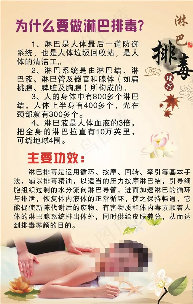 淋巴排毒图片cdr矢量模版下载
