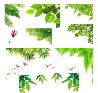 树叶装饰元素 绿叶图片