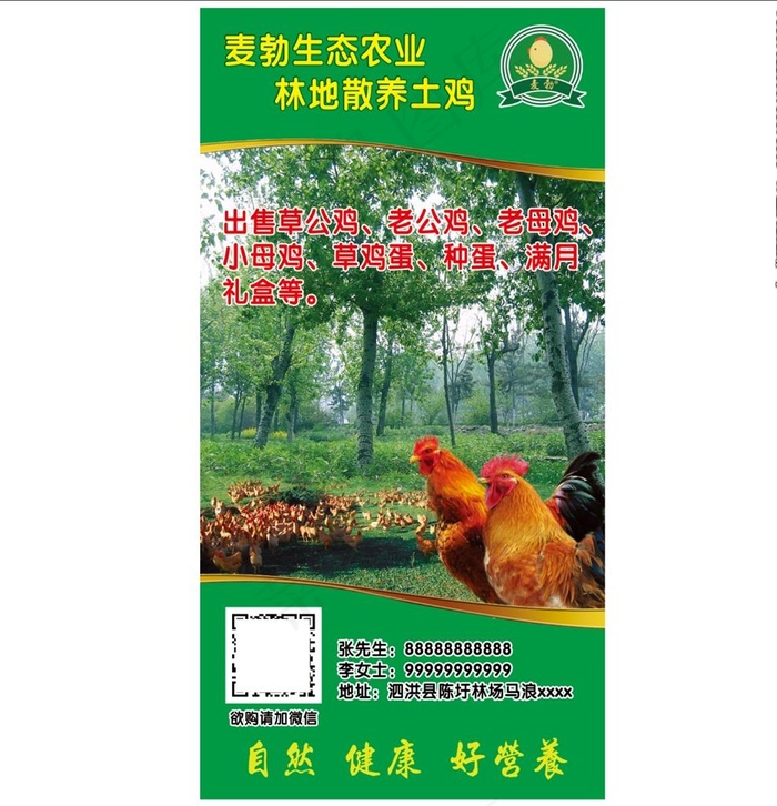 散养土鸡图片(1811X3543(DPI:100))psd模版下载