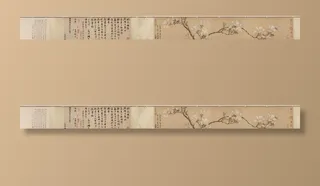 明代文征明玉兰图国画图片