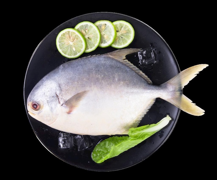 鲳鱼图片